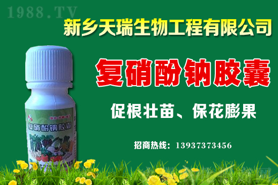 ���[һ�����ܮa(ch��n)���ٽ������[�r(ji��)�����ϝq��