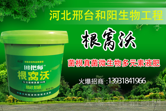 ��Щ��������������������ȡʲô��ʩ���Է�����