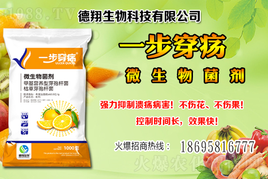 ���a(ch��n)�󶹃r��(w��n)���е���2020-12-21�����������ֵ؅^(q��)�����飡