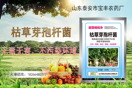 �ݲ�ѿ�ߗU���ܽ�Q������Щ���}���ݲ�ѿ�ߗU�����r(n��ng)�����ϵđ�(y��ng)����