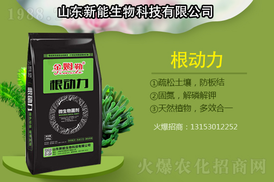 �������������ԭ�����ģ���Q����������ʩ��ô����