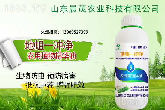 地蛆難防也要治,地蛆的防治要點