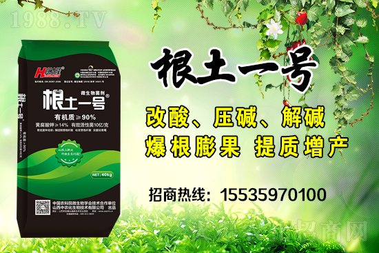     ΢��������е�΢������ʲô������΢�����������θ�����������