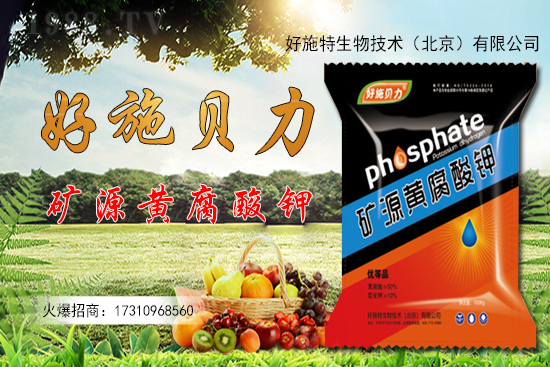 �󽪶����Xһ��󽪷Nֲǰ������������Nֲ���g(sh��)��