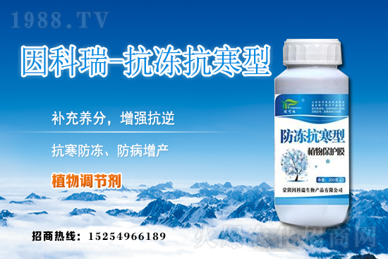 ���յ��ȃr(ji��)������Xһ����2020��12��9�յ��ȃr(ji��)������