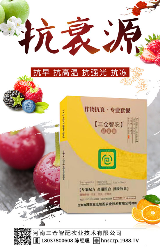 ���·��m�ϷNֲʲô�߲ˣ����·��߲˷Nֲע�������