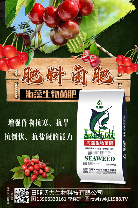 �R���Ј�ǰ����ô�����R��Nֲ����Ҫ�c����Щ����