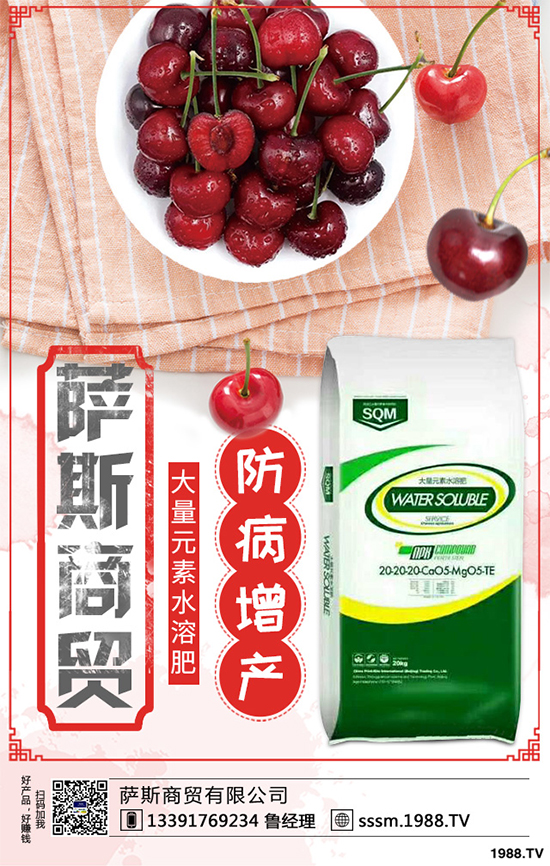 ������ԓ��ηNֲ���紺���׸߮a(ch��n)�Nֲ���g(sh��)Ҫ�c