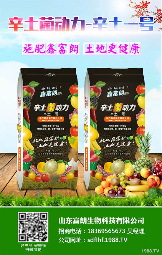 你知道春花生什么時(shí)候播種嗎?2020年春花生種植方法講解