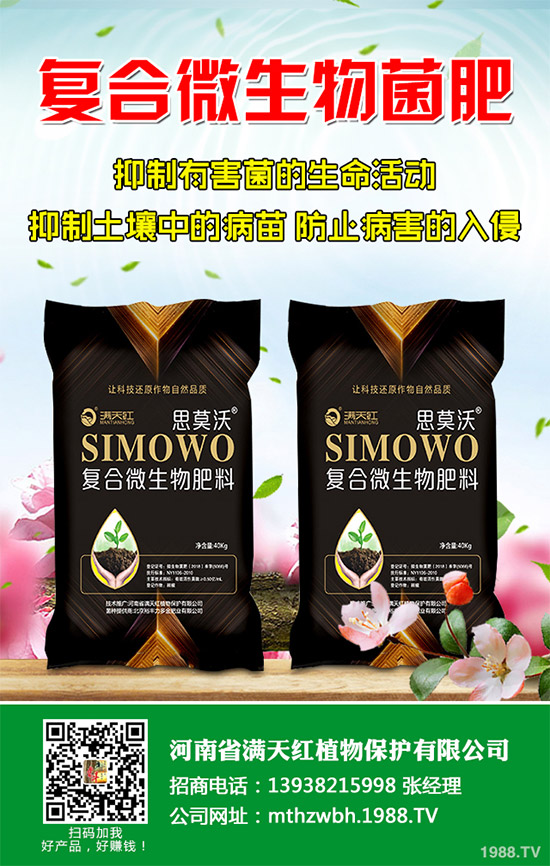 �����������ʩ����2020�괺���׿ƌWʩ�ʽ��h