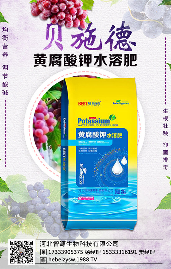 ���ϵ��������������ϲ��NҪ�c(di��n)���Nֲ�ܶ���