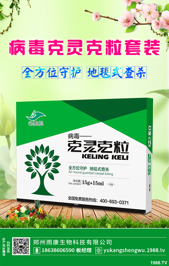 �W�ˌ�Ҫ���á���ɭ�i�\����