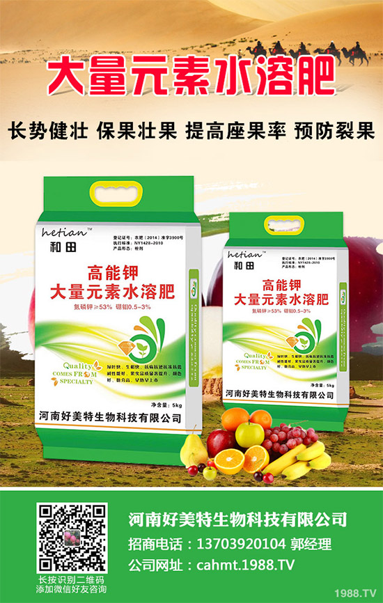 ��(x��)���[��ηNֲ���ܸ߮a(ch��n)����Ҫע��ʲô���@�傀(g��)С���ɷ���һ����