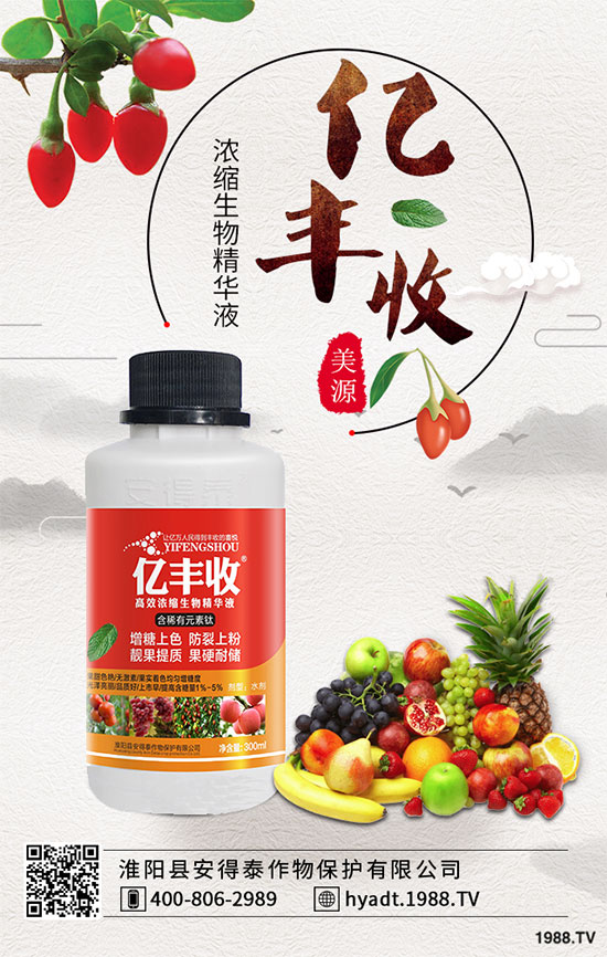 �����J����Ʒ�N����Щ�� �����J�����L��(x��)����