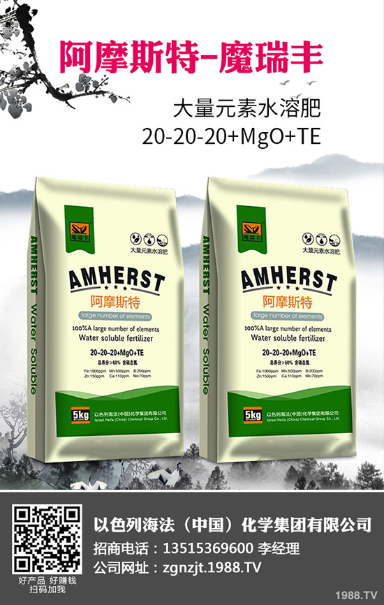 2020�괺����ʲô�r(sh��)�g���N�������׷Nֲ���g(sh��)