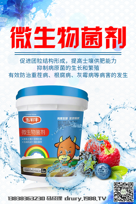 大棚韭菜該怎么種植?韭菜大棚管理技術(shù)要點(diǎn)