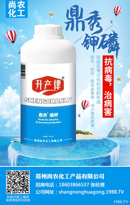     ���{(l��n)���Y(ji��)����ô�k�����{(l��n)���Y(ji��)��ԭ�򼰷��δ�ʩ��