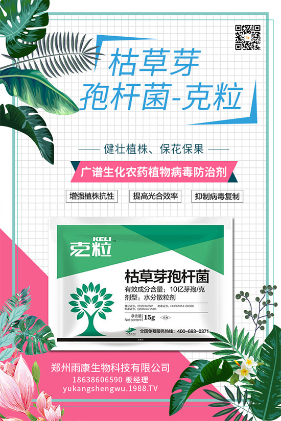 ����(n��i)����(chu��ng)��ֲ��Դ����(x��)��ˎ���ذ����u��