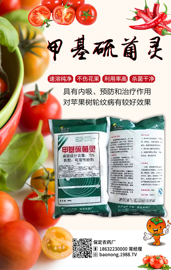 �������t�����༼�g���������t�����x�����Σ�