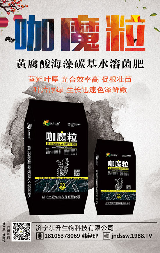 С����ʲô�g�Nֲ�r��С���۷Nֲ����Ҫ�c��