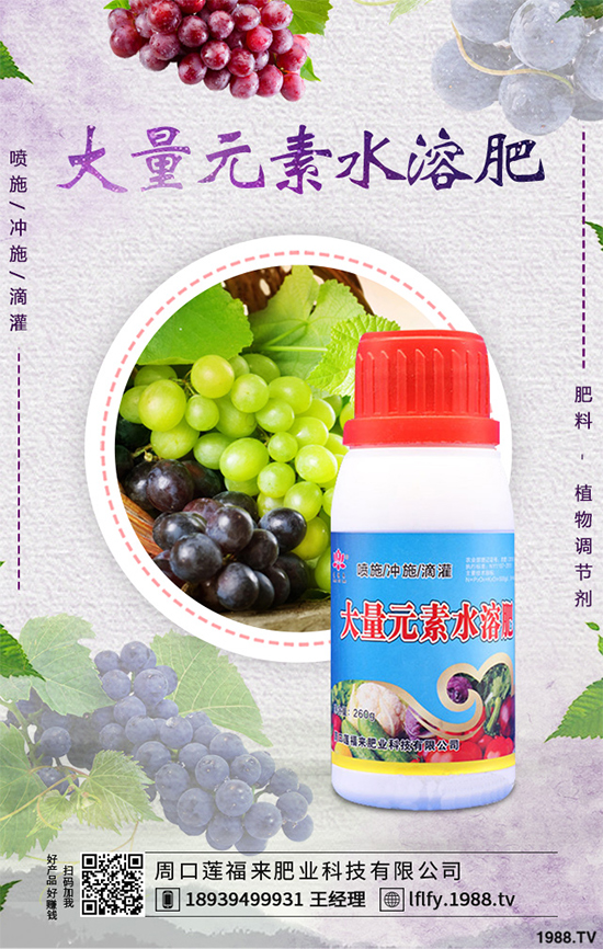 ���v�̶����Xһ�����Nֲǰ���������ˎ�ĵ�Ч�����