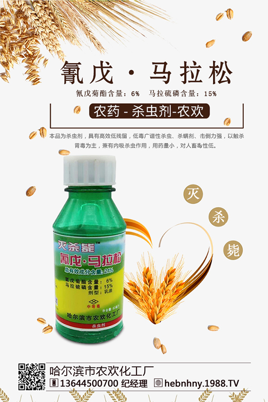 �x���߷��ڡ������xຸ�Ч���x�����Դ������