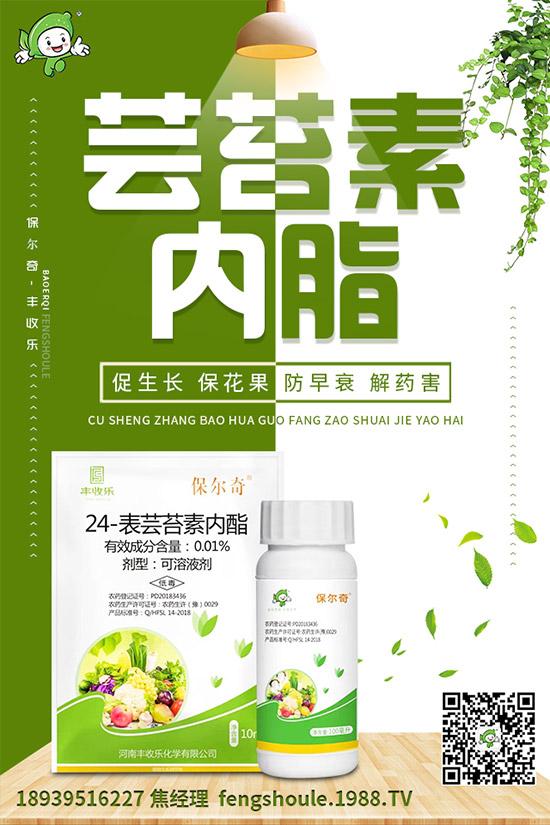 苦瓜苗怎么嫁接？苦瓜嫁接高產(chǎn)種植技術(shù)！