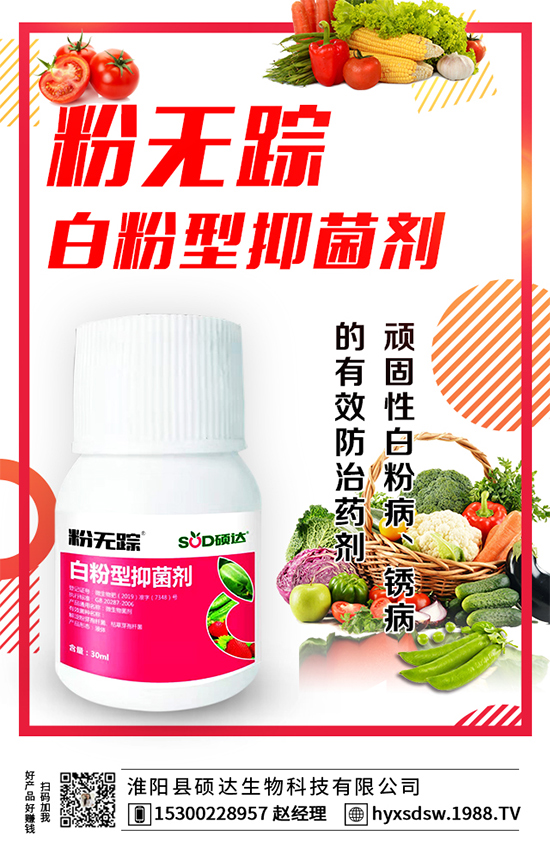 ������ô�Nֲ�������Nֲ���g(sh��)Ҫ�c(di��n)��