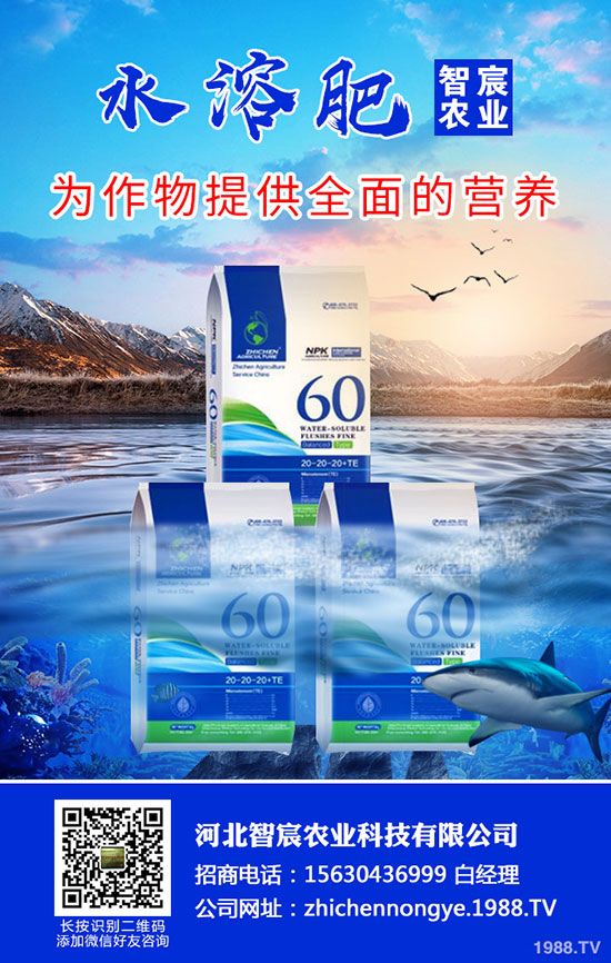 2020���؃r(ji��)��Ҫ�ϝq���������������߄�(sh��)������