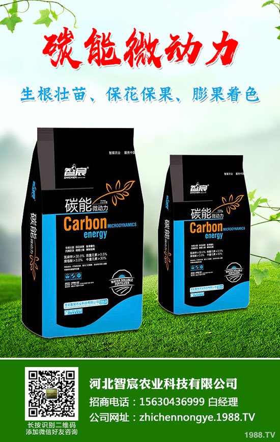 5����(n��i)�׷��Ј���ȥ�Ώģ�����һ�@���@�r�������߄��A(y��)�y��