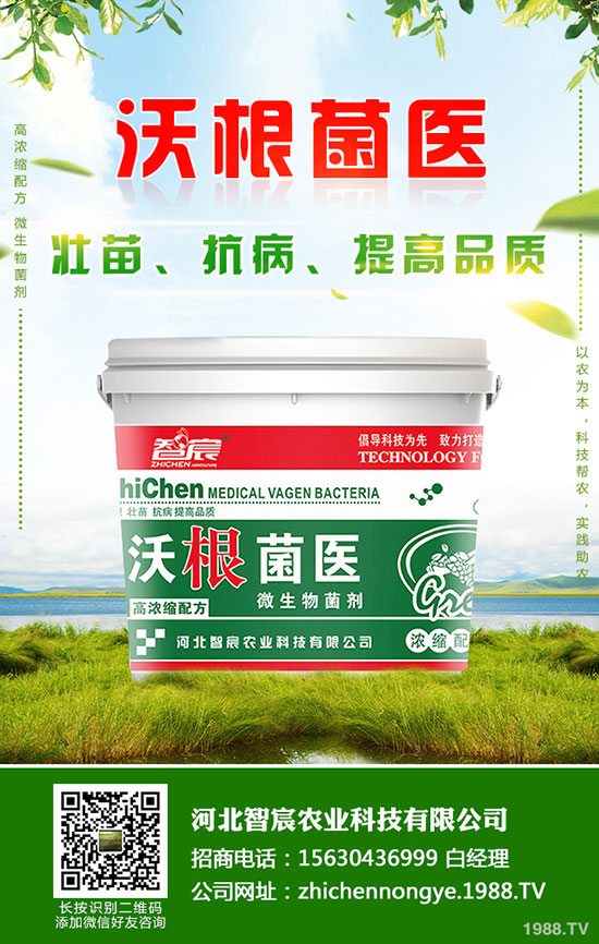 ⛷ʃr�����wƫ���\�У�����⛷��������2020-5-15��