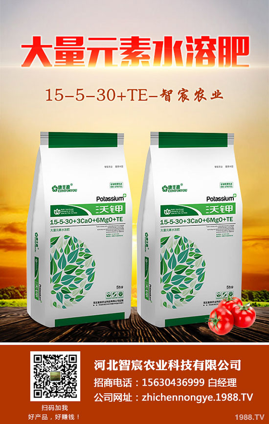 2020��5��15�ս��������ȏͺϷʃr���߄ݼ��������u