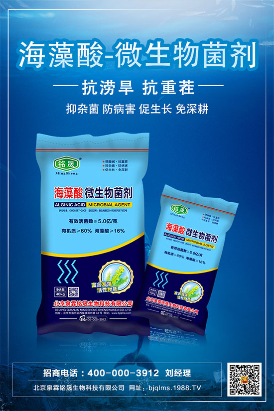     ����ֻ�_�����Y(ji��)����ʲôԭ�򣿰���������Ľ�Q��ʩ��