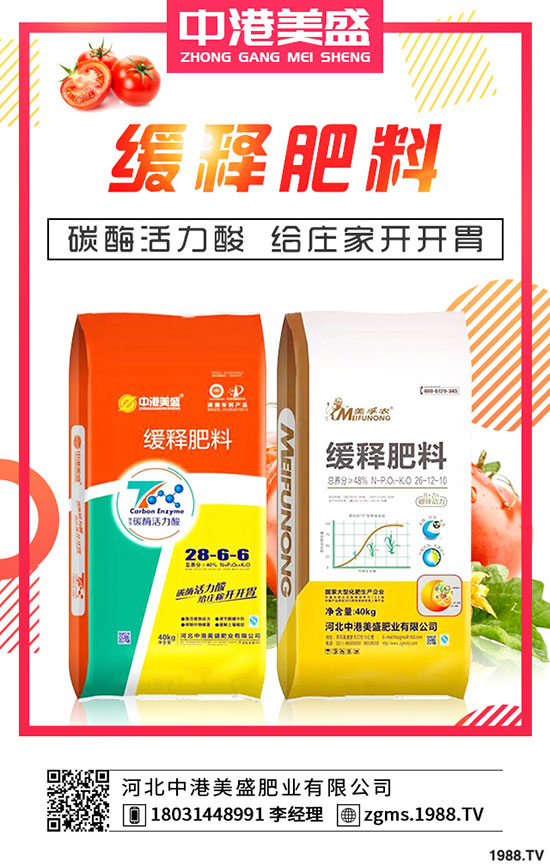 葛根種植多久可以收獲?種植葛根一畝有多少利潤(rùn)?