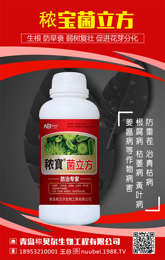 ���J��ô���N���������J�Ĳ��N���������L�^����