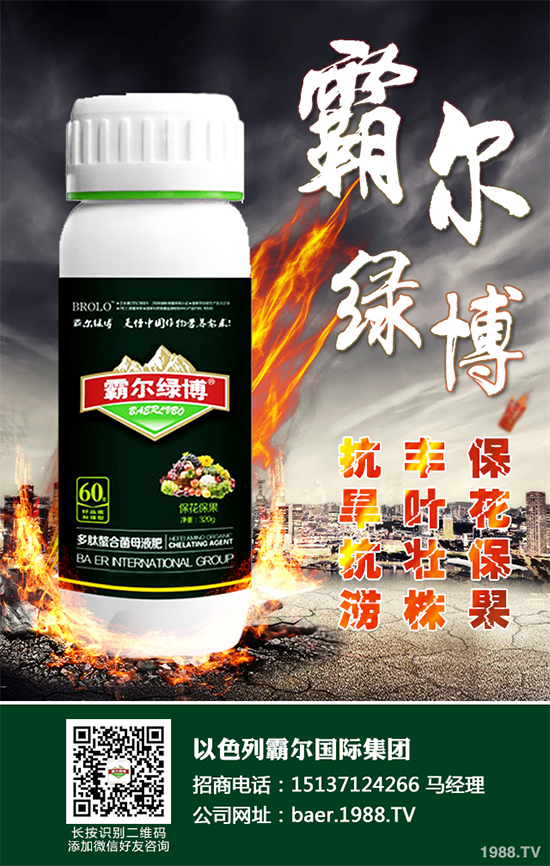 ������ʲô�r�򲥷N��2020���������粥�����ă�(y��u)ȱ�c(di��n)����