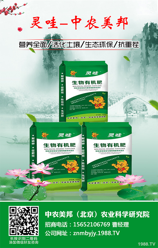 ���᳣Ҋ��������Щ��ԓ����A(y��)�������Ს���İl(f��)���c������