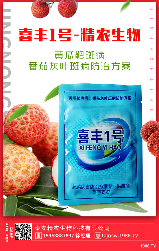 �V���X�ݷNֲ��Ҫ��Щ�l�����V���X��Ǥ������Ҫ�c(di��n)��