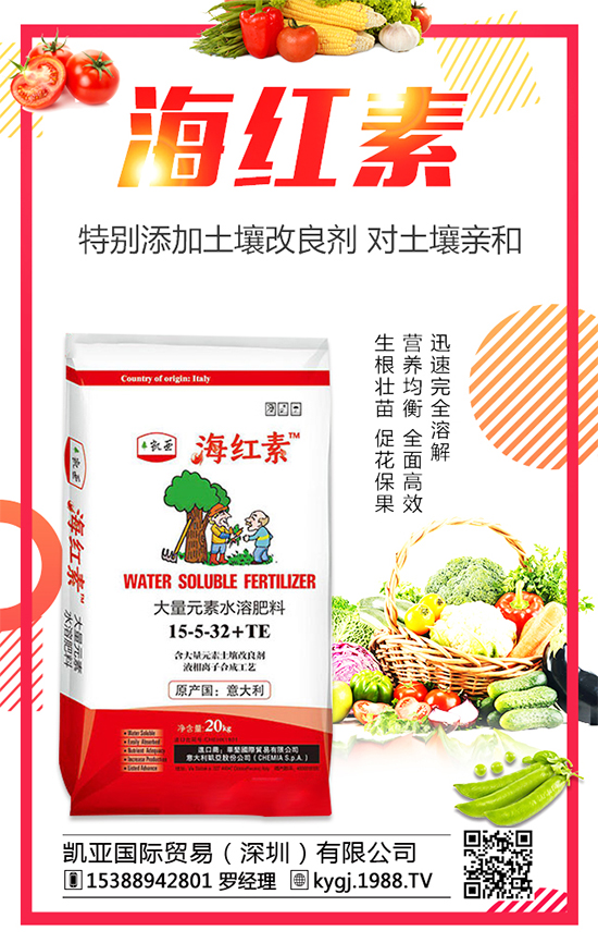 ���X(qi��n)�ݵĮa(ch��n)�طֲ����������X(qi��n)�ݷNֲע�����(xi��ng)��