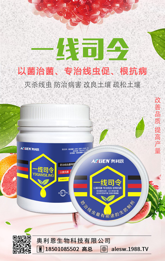 ���X����ô�B(y��ng)�����X���B(y��ng)ֳ��������Щ��