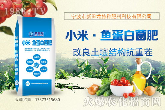 �̵ָĠI(y��ng)�B(y��ng)�r(ji��)ֵ����Щ���ָ̹�Ч�c��������Щ��