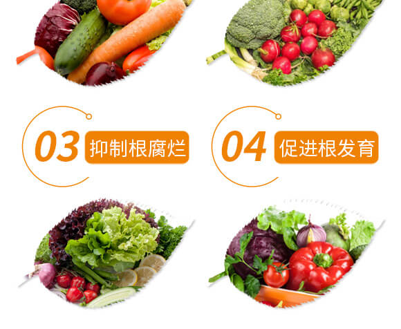 中量元素水溶肥料-稀土型糖醇鈣-貝德樂_05