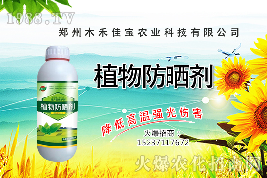 ѿ��˷Nֲǰ����ô����ѿ��˷Nֲ���g(sh��)����Щ��