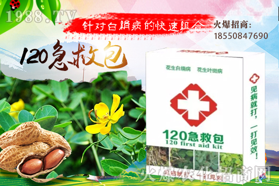 �ȹ����緽������Щ���ȹ���ô���Զ�ֲ��