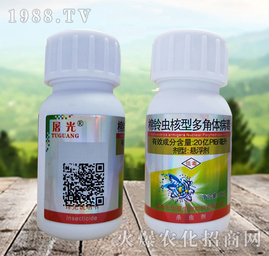 ����x���Ͷ���w������ʲô�x��Ч����ô������ô�x����