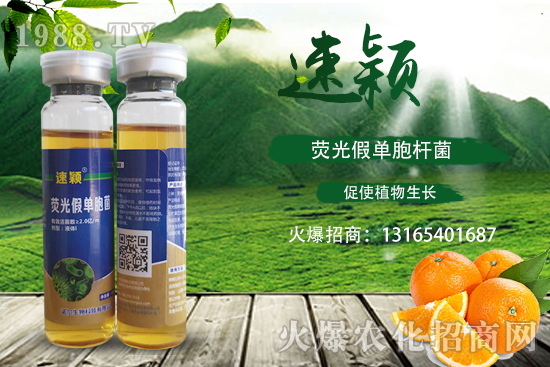 ���ٝ�����Σ��һ���һ���(y��n)�������ٝ�������η�����