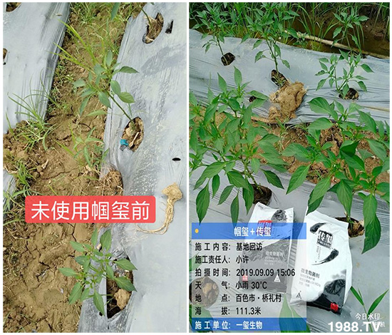 �îa(ch��n)Ʒ�����ã���һ�t���΢������������t���͑��挍������