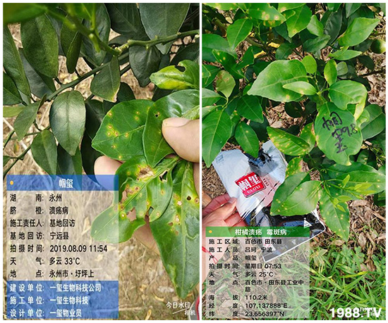 �îa(ch��n)Ʒ�����ã���һ�t���΢������������t���͑��挍������