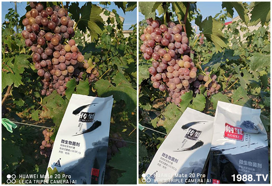 �îa(ch��n)Ʒ����������һ�t���΢������������t���͑��挍������