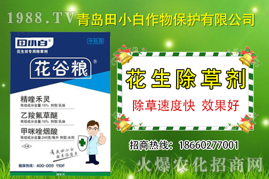 �������s�ݷN����������݄���ô�x������������ˎ���]��